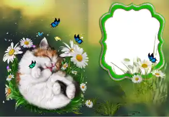 Photo effect from category Different № 184694 Photo effect from category Different № 184694