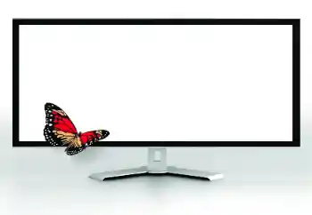 Photo effect from category Different № 185816 Photo effect from category Different № 185816