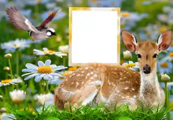 Photo effect from category Different № 185878 Photo effect from category Different № 185878