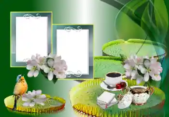 Photo effect from category Different № 185988