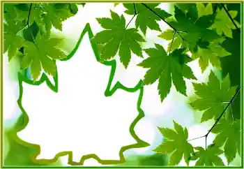 Photo effect from category Different № 186022