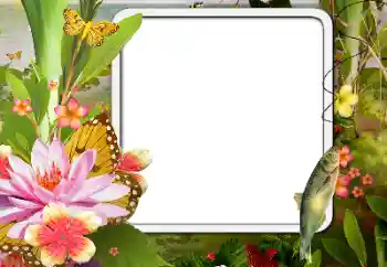 Photo effect from category Different № 188076 Photo effect from category Different № 188076