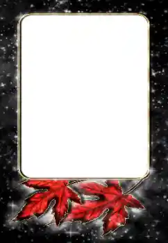 Photo effect from category Different № 188187 Photo effect from category Different № 188187