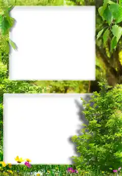 Photo effect from category Different № 189416 Photo effect from category Different № 189416