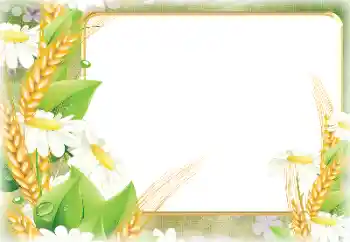 Photo effect from category Different № 190498 Photo effect from category Different № 190498