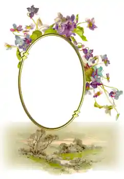 Photo effect from category Different № 190547 Photo effect from category Different № 190547