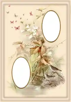 Photo effect from category Different № 190550 Photo effect from category Different № 190550