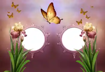 Photo effect from category Different № 191737 Photo effect from category Different № 191737