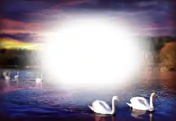 Photo effect from category Different № 196358 Photo effect from category Different № 196358