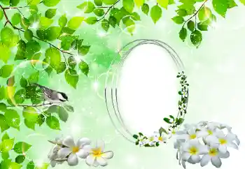 Photo effect from category Different № 196398 Photo effect from category Different № 196398