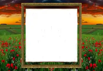 Photo effect from category Different № 196520 Photo effect from category Different № 196520