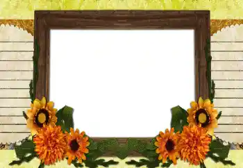 Photo effect from category Different № 196538 Photo effect from category Different № 196538