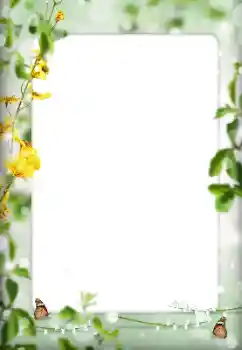 Photo effect from category Different № 198822 Photo effect from category Different № 198822