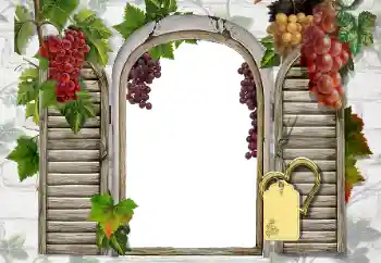 Photo effect from category Different № 20247