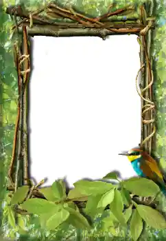 Photo effect from category Different № 20272