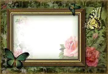 Photo effect from category Different № 203270