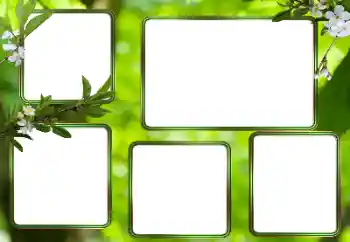 Photo effect from category Different № 205353 Photo effect from category Different № 205353