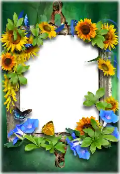 Photo effect from category Different № 205611 Photo effect from category Different № 205611