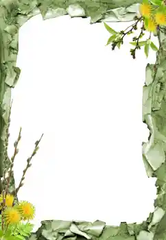 Photo effect from category Different № 205798 Photo effect from category Different № 205798