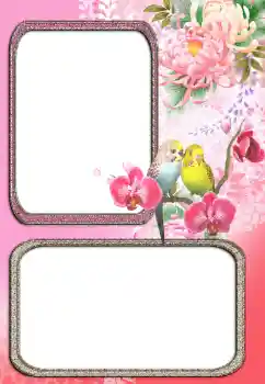 Photo effect from category Different № 24272