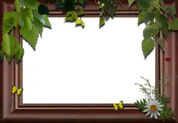 Photo effect from category Different № 24288