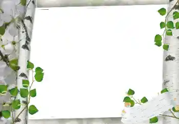 Photo effect from category Different № 24319