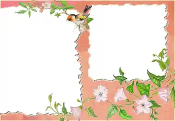 Photo effect from category Different № 24418