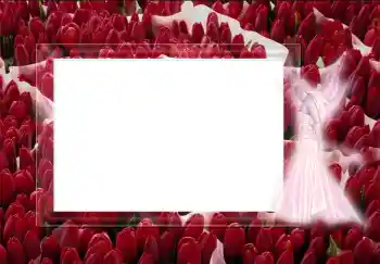 Photo effect from category Different № 2452