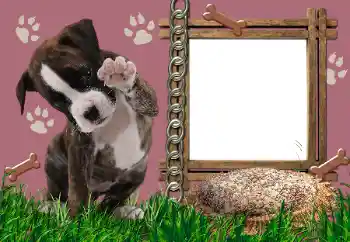 Photo effect from category Different № 24550