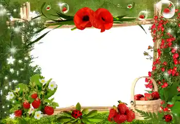 Photo effect from category Different № 25445