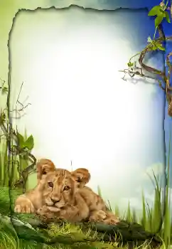 Photo effect from category Different № 26572