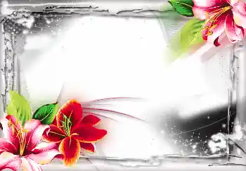 Photo effect from category Different № 2804