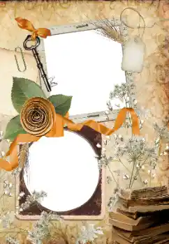 Photo effect from category Different № 33766