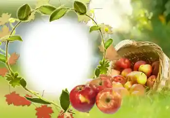 Photo effect from category Different № 34029