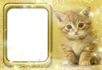 Photo effect from category Different № 3412