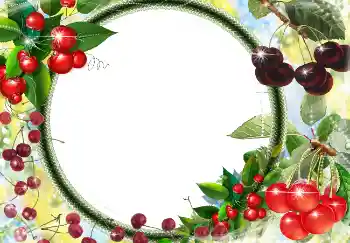 Photo effect from category Different № 3416