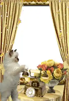 Photo effect from category Different № 3419