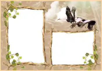 Photo effect from category Different № 3430