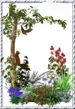 Photo effect from category Different № 34798