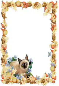 Photo effect from category Different № 34851