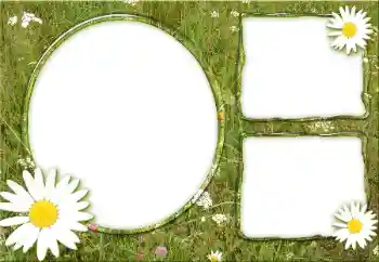 Photo effect from category Different № 34932