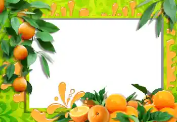 Photo effect from category Different № 36215