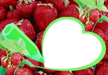 Photo effect from category Different № 36225