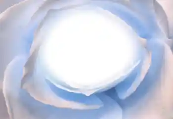 Photo effect from category Different № 38328