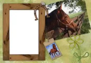 Photo effect from category Different № 38802