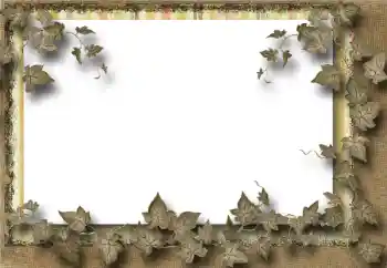 Photo effect from category Different № 39069