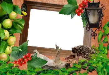 Photo effect from category Different № 39216