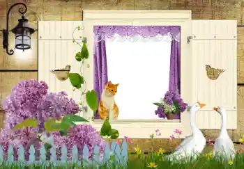 Photo effect from category Different № 42597