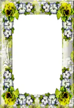 Photo effect from category Different № 4367