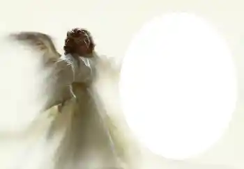 Photo effect from category Different № 4541